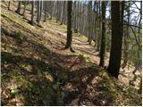 Kraljev hrib - Gradišče (Velika planina)